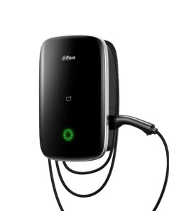 Φορτιστής ηλεκτρικών οχημάτων DH-ICS-A220E-H1D