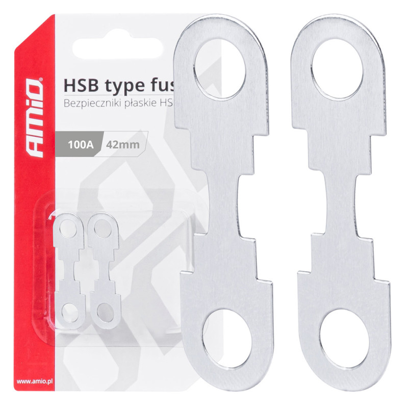 Amio - ΑΣΦΑΛΕΙΕΣ FLAT 42mm 100A - 2 Τεμ. (03502/AM)