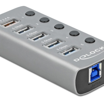 DELOCK USB hub 63262 με διακόπτες, 5x θυρών, 5Gbps, 2.4A, γκρι