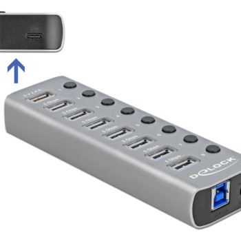DELOCK USB hub 63264 με διακόπτες, 9x θυρών, 5Gbps, 12V/2.25A PD, γκρι