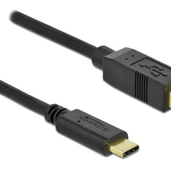 DELOCK καλώδιο USB-C σε USB Type B 83330, 2m, μαύρο