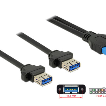 DELOCK καλώδιο USB 3.0 19 pin header (F) σε 2x USB 3.0 (F) 85244, 80cm