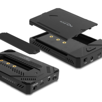 DELOCK θήκη M.2 NVMe & SATA SSD/HDD 42020, 10Gbps, λειτουργία κλώνου