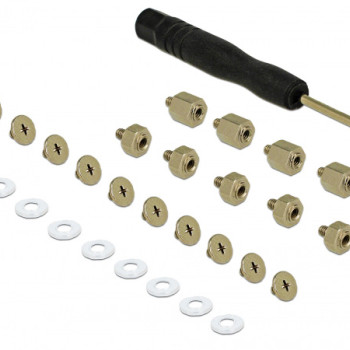 DELOCK κιτ συναρμολόγησης για M.2 SSD/Module 18288, 31τμχ