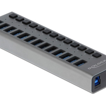 DELOCK USB hub 63738 με διακόπτες, 13x θυρών, 5Gbps, γκρι