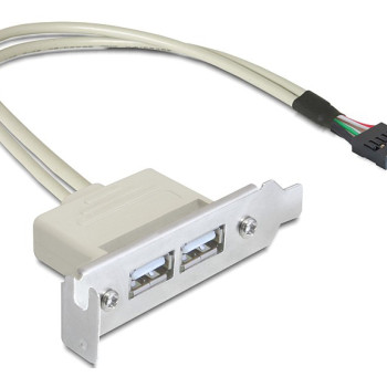 DELOCK κάρτα επέκτασης USB 9 pin σε 2x USB 2.0 83119, low profile