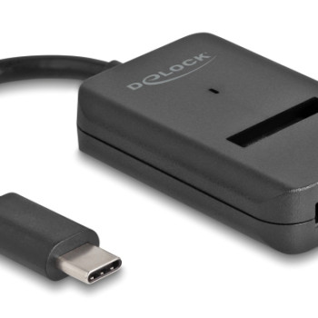 DELOCK αντάπτορας USB-C σε M.2 NVMe PCIe/SATA SSD 64198, 10Gbps